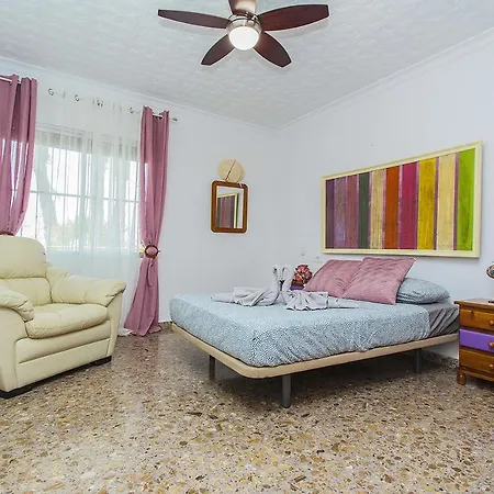250 Codovi - Alicante Los Montesinos